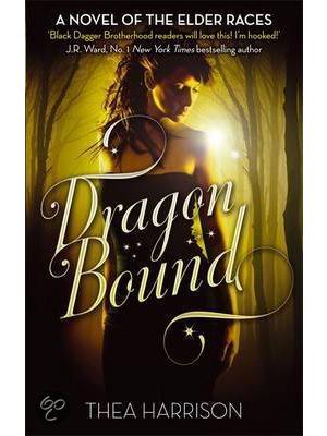 Dragon Bound cover hoes
